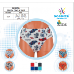 DONDEZA  504 DESENLİ ERKEK ÇOCUK SLİP KÜLOT  12'Lİ PAKET asorti