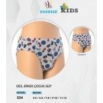 DONDEZA  504 DESENLİ ERKEK ÇOCUK SLİP KÜLOT  12'Lİ PAKET asorti