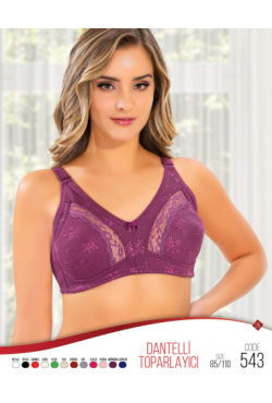 LİZA TOPARLAYICI SÜTYEN DANTELLİ  MÜRDÜM