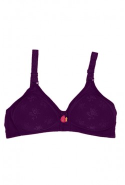 LİZA SLİKONLU TELSİZ DANTELLİ  SÜTYEN  MÜRDÜM