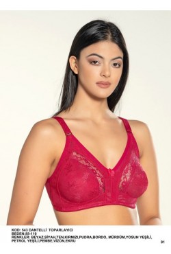 LİZA TOPARLAYICI SÜTYEN DANTELLİ BORDO