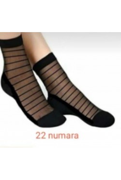 Miss Bella Kabartma Desen Bayan Tül SETKA Patik 12'li 