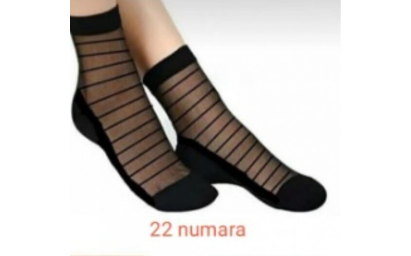 Miss Bella Kabartma Desen Bayan Tül SETKA Patik 12'li 